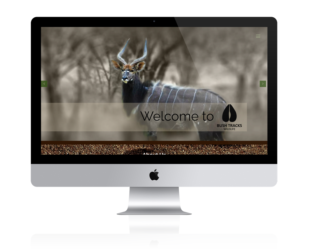 Peri-Peri-Creative---Bush-Tracks-Wildlife